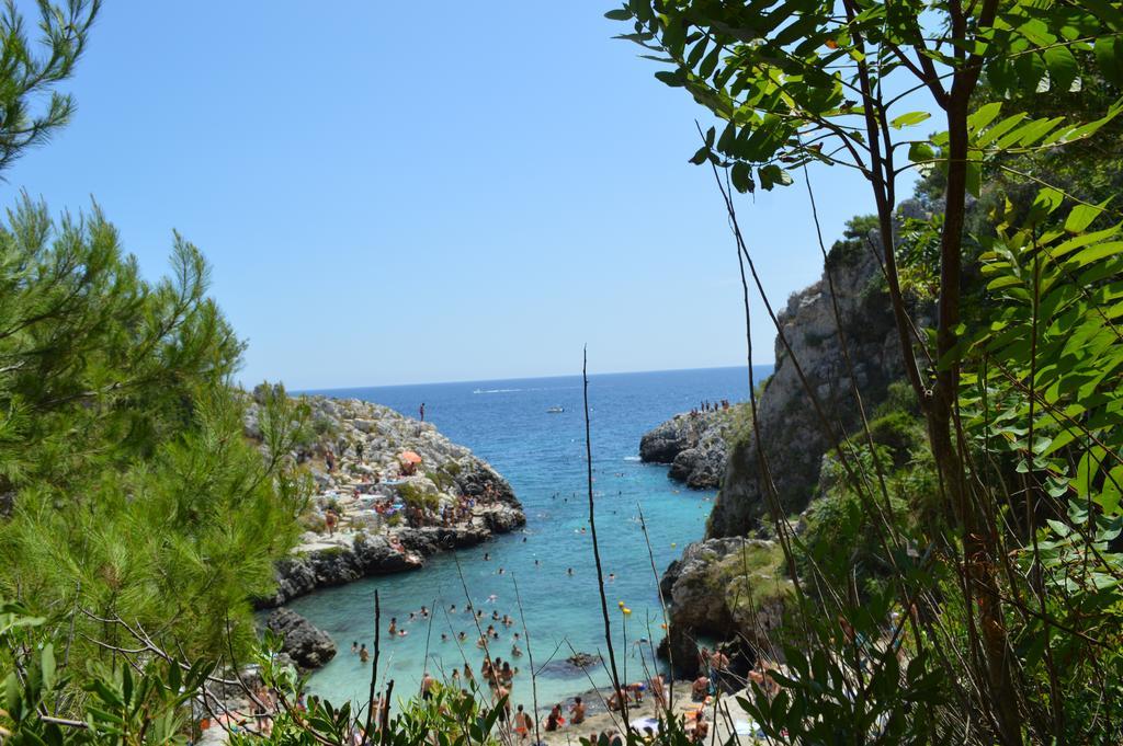 B&B Le Rose Vignacastrisi Buitenkant foto
