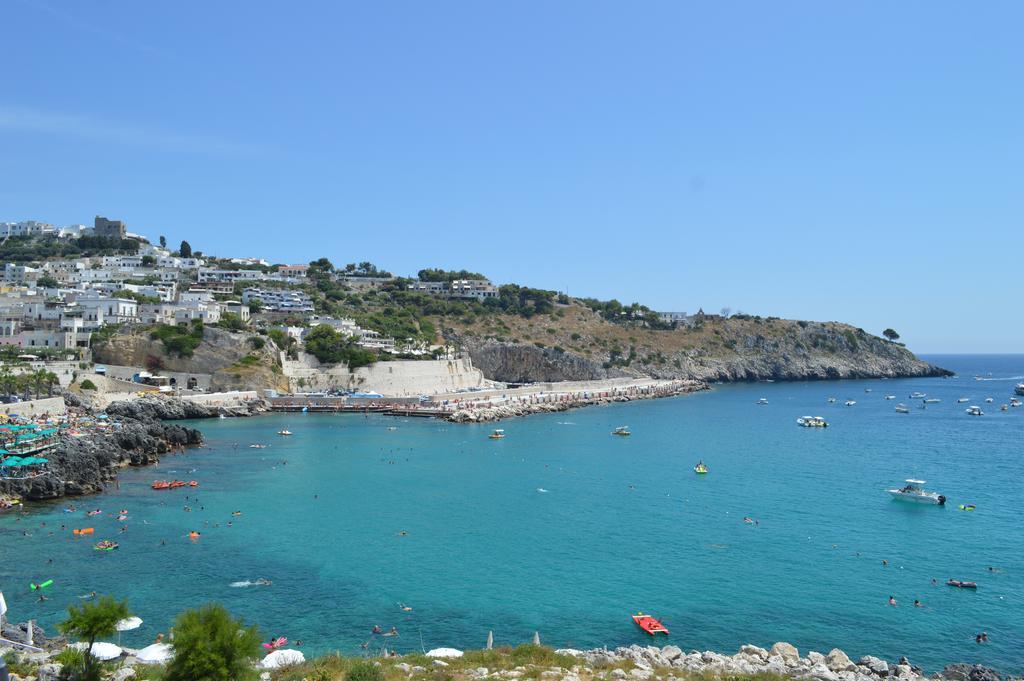 B&B Le Rose Vignacastrisi Buitenkant foto
